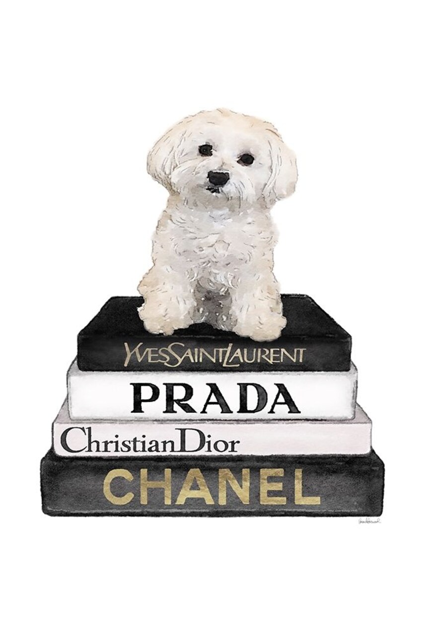 Bichon Frise Bookstack Poster Print by Amanda Greenwood Amanda Greenwood # AGD117288